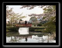 006 Kyoto Arashiyama Daikaku-ji